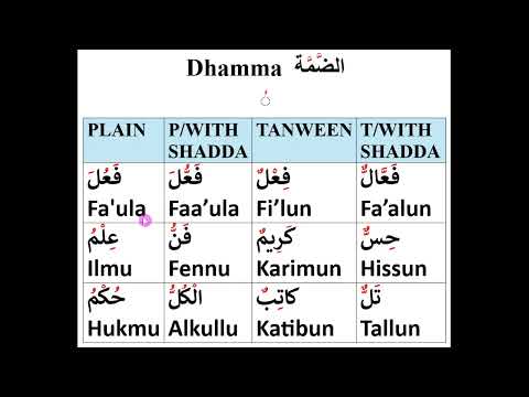 Arabic Diacritical Marks  Tashkeel Harakat حركات تشكيل