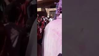 2021 new Rajasthani songs and dance
