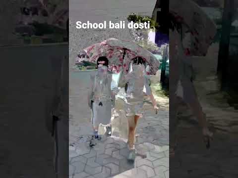 🏫 school Bali dosti