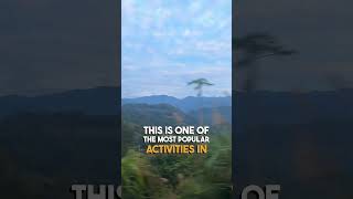 Mistakes people do when visiting Alishan, Taiwan 🇹🇼