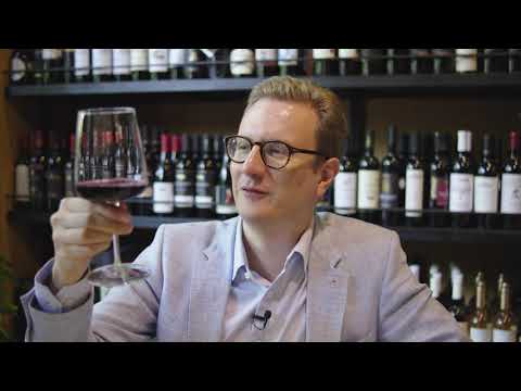8000 Vintages: Wine Tasting in Tbilisi 🇬🇪