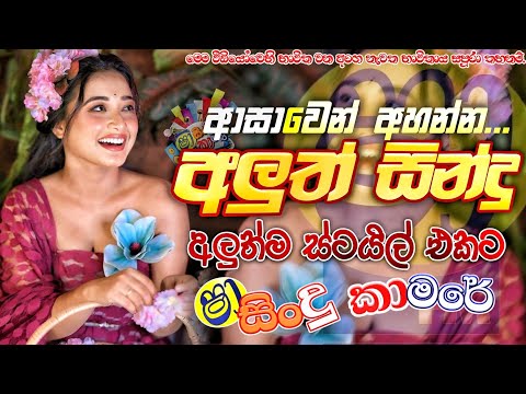 Shaa fm sindu kamare Nonstop 2025 With Mathara Shivaree | Trending Nonstop Songs | Sinhala Songs