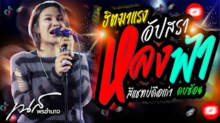 New 🔥อัปสราหลงฟ้า +คบซ้อน +เมียเช่า | เนส พรอํานาจ คอนเสิร์ต  #ฮิตมาแรง🔥