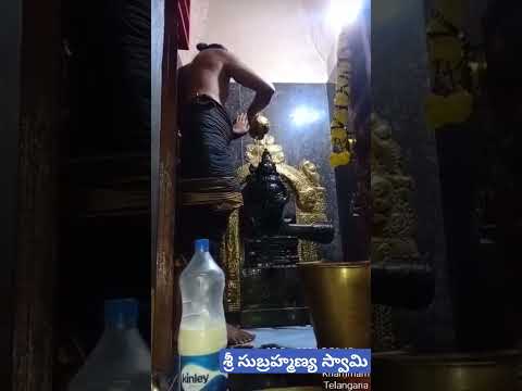 Subramanya swamy ki palabhishekam 🙏🙏🙏🙏🙏 #subramanyaswamy #palani #subramanyaswamysongstelugu