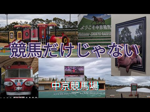 【中京競馬場】愛知県豊明市　遊園地やトリックアートなど、競馬以外でも楽しめます。