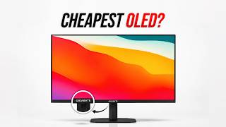 এত কম দামে QD-OLED Monitor?! – অসম্ভব কাণ্ড! Ft. Giveaway