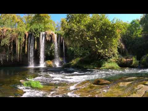 Relaxing Music – Deep Sleep Music and Calm Music - Meditation - Yoga - Zen - Stress Relief Music