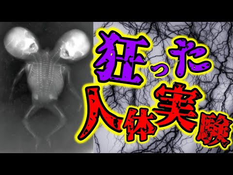 非人道すぎた狂った挑戦【ゆっくり解説】