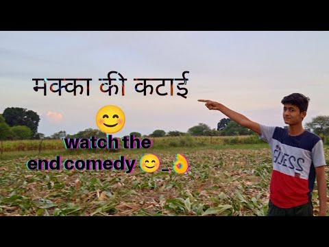 Makka ki kheti ka block gaon mein 🌽🌽🌽 my first vlogs 🙏 dada sumit parihar