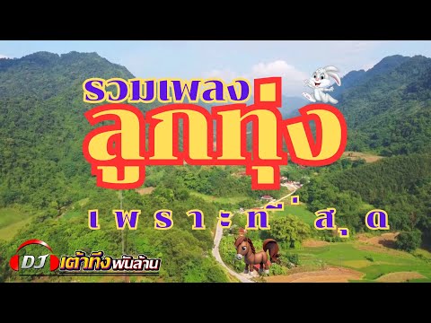 The best collection of Luk Thung songs