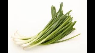 Spring onion sabji.