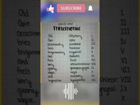 trick to learn cranial nerves 💡#shorts #neet #tricks #biology #facts #knowledge #neettricks