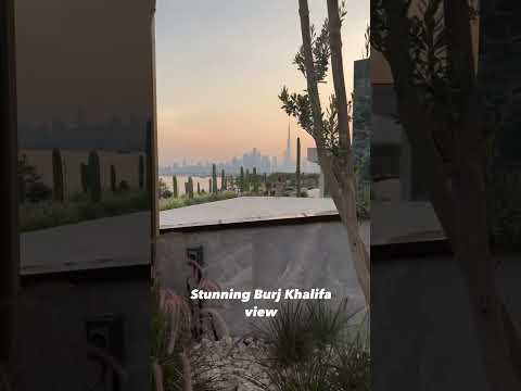 Cactus 🌵 Park , 📍Al Jadaaf , Dubai. Free Entry , Free Parking, Amzing Burj Khalifha view