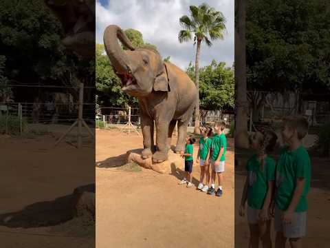 Kind Kids at the Zoo 🐘🌿 Elephant Fun Facts for Kids!