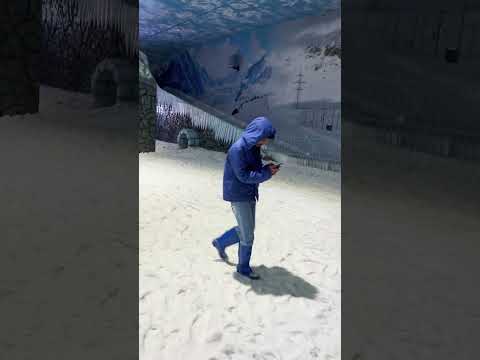 Coldest place in Delhi #delhi#shortvideo #music#youtubeshorts #snow#funnyshorts