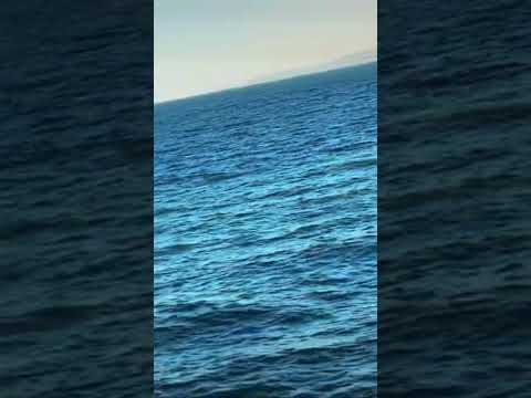 #uk 🇬🇧 #seaview