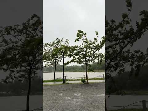 ජා-ඇල ඒකල ජලයෙන් යටවූ හැටි😥🥶🤧❄️😰#jaela