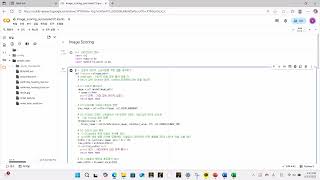 How to use the Image Processing Program?