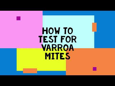M9.1How to Test for Varroa Mite