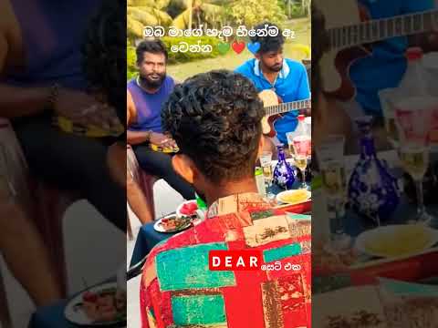 ඔබ මාගේ හැම හීනේම | Hama heenema | Dear cover Sinhala song #trending #viralvideo #music #dear #song