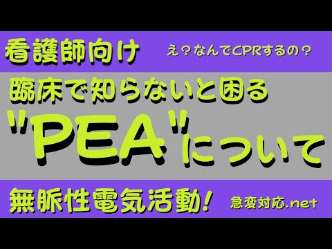 【ACLSフォローアップ企画】臨床で看護師がPEA(無脈性電気活動)を知らないとどうなるか？