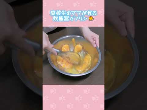 巨大プリンを作ってみたい！！🍮