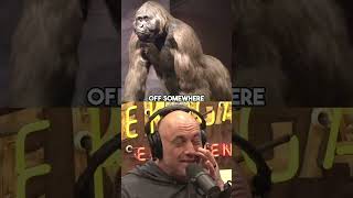 Joe Rogan Reacts To Gigantopithecus! #joerogan #joeroganexperience