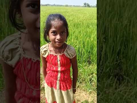 About Farmers....