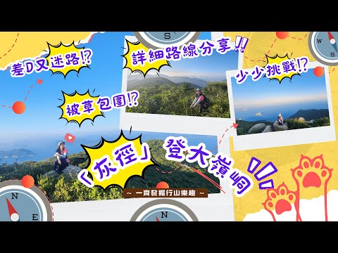 【香港行山好去處  短程加d挑戰🤪】灰徑登大嶺峒有咩唔同⁉️被草包圍⁉️差D又迷路⁉️ 一個又一個小山丘, 風景靚又有少少挑戰性～正！（*有CC中文字幕提供）