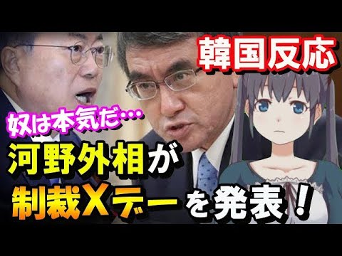 【韓国の反応】河野外相が韓国に制裁表明！日本企業資産現金化がXデーに…