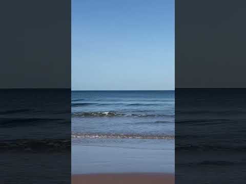 Seacliff Beach North Berwick Scotland #sea #scotland #calm #relaxing #relax #relaxingsounds