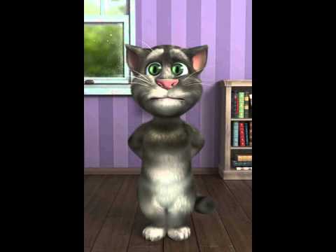 Talking Gavoroc the cat. (poor voices)