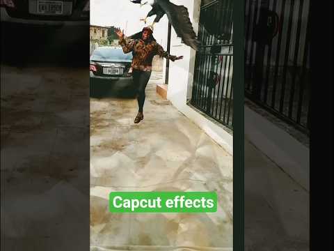 Flying eagle effect