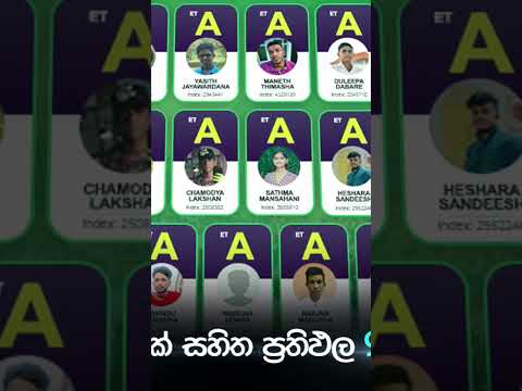 ලංකාවේ අංක එකේ E-ටෙක් පංතිය