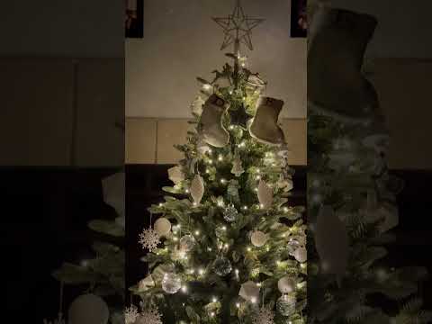 21 days before Christmas. #holidays #christmas #christmastree #christmas2023 #gifts