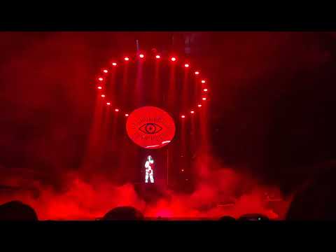 キタニタツヤ opening I DO NOT LOVE YOU. 彼は天井から見ている 日本武道館
