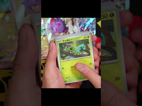 バトルパートナーズ1カートン分！ #ポケモンカード #ポケポケ #pokemontcg #テラスタルフェスex