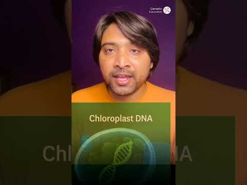 5 Mind-Blowing DNA Facts You Need to Know! (Part 1)