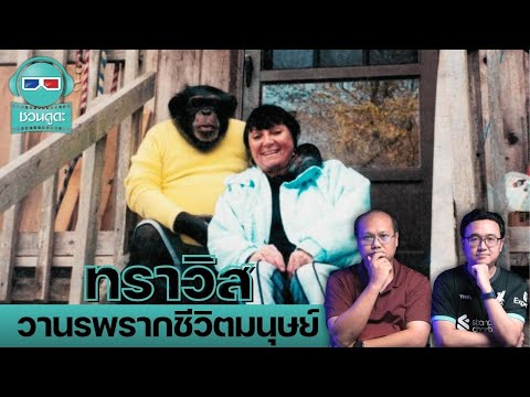 ทราวิส วานรพรากชีวิตมนุษย์ - ชวนดูดะ PODCAST EP8