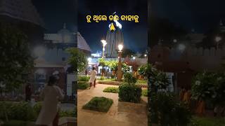 #tuthiledarakahaku #purigirl #purijagannathtemple #jagannathbhajan