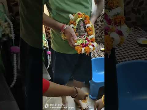 #ganeshvisarjan #ganeshutsav #ganpativisarjan #ganpatibappa #ganpatibappamorya #ganpati #ganeshji
