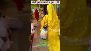 Radha keli kunj asram #shree hari vansh🙏🙏vrindwan