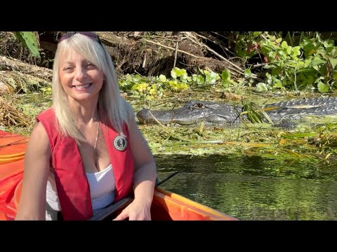 kayaking with FANTASTIC Florida Gators