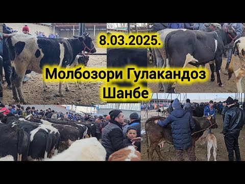 МОЛБОЗОР ХУДЧАНД ГУЛАКАНДОЗ ШАНБЕ  8-Март 2025г ОЧА БАЧА БУКАЧАХО ГУНОЧИНХО