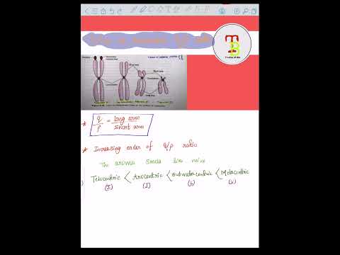 Trick to remember q/p ratio of chromosome ||by: Ankush (MBBS)|| #neet24 #neet2024 #neettricks