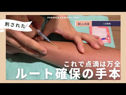 [Professional IV drip] Securing a route that will not fail
