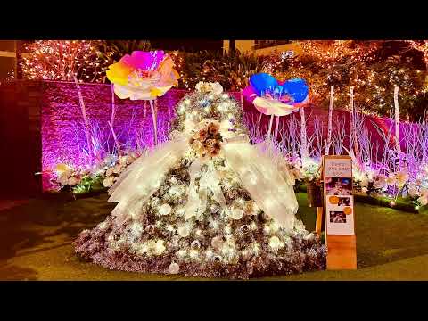 名古屋駅クリスマスイルミネーション2024年 クリスマスとイルミ