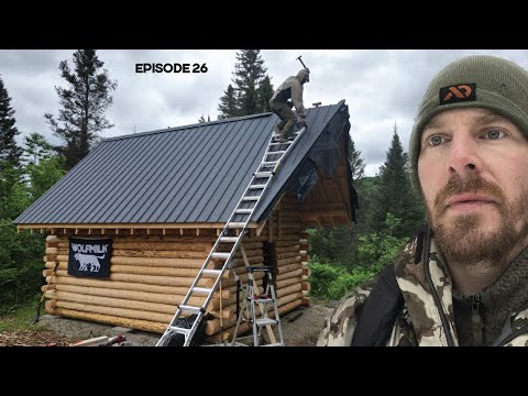 Log Cabin Build on Off-Grid Homestead |EP26| Roof, Sawmill, Door