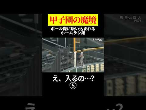 ⑤「コレ入るの…?」甲子園の魔境ポール際HR集