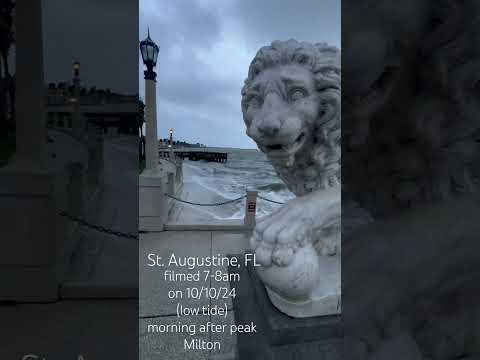 Milton update  in St. Augustine, FL. Filmed between 7 and 8:30am, which was low tide here. #milton